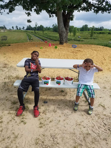 Tourist Attraction «Sugar Hill U-pick Farms», reviews and photos, 3595 Co Rd 59, Verbena, AL 36091, USA