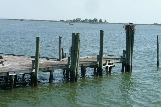 Cruise Agency «Tangier Island Cruises», reviews and photos, 1001 W Main St, Crisfield, MD 21817, USA
