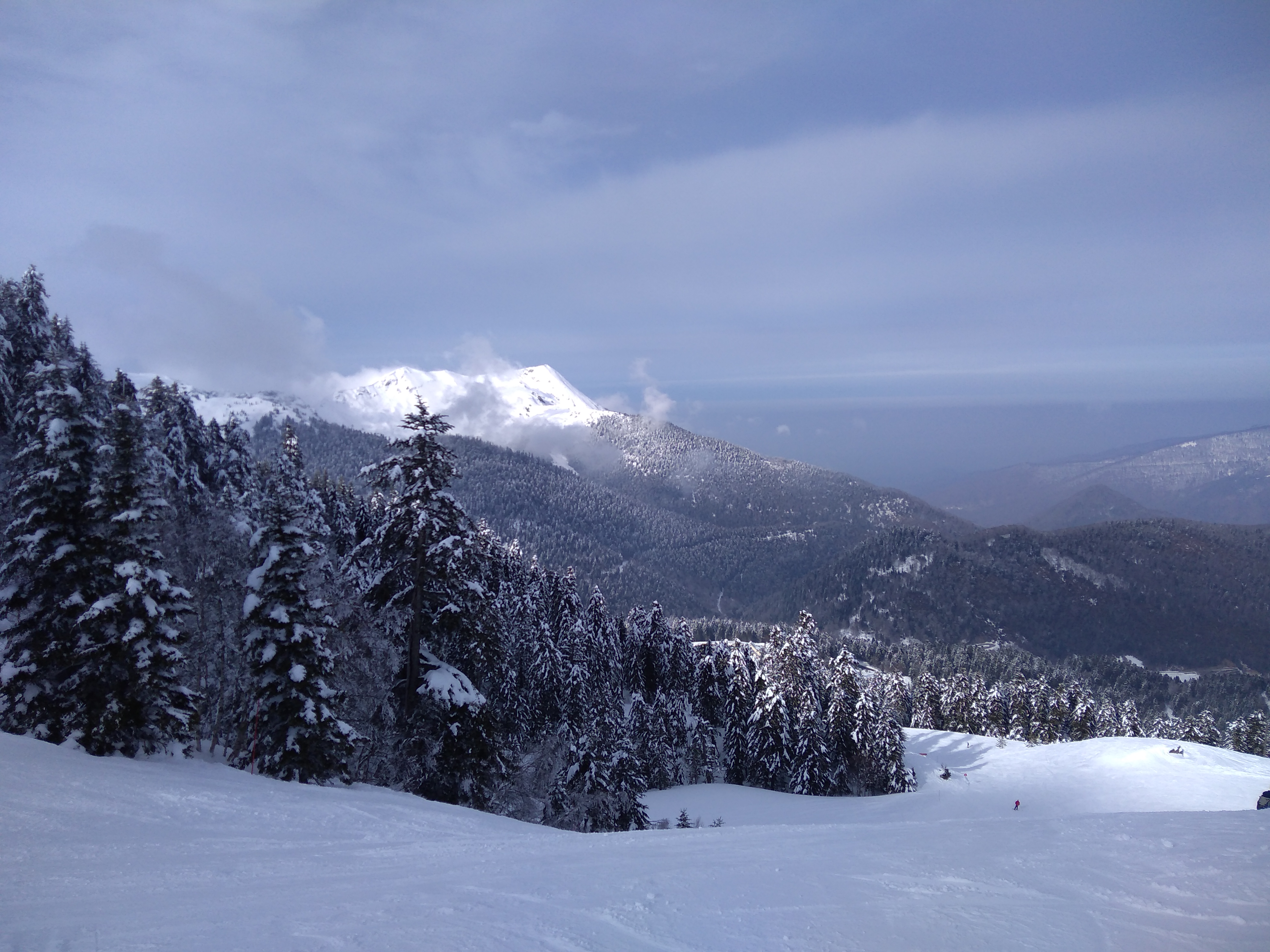 Photo n° 1 de l'avis de olivier.a fait le 24/02/2018 à 16:30