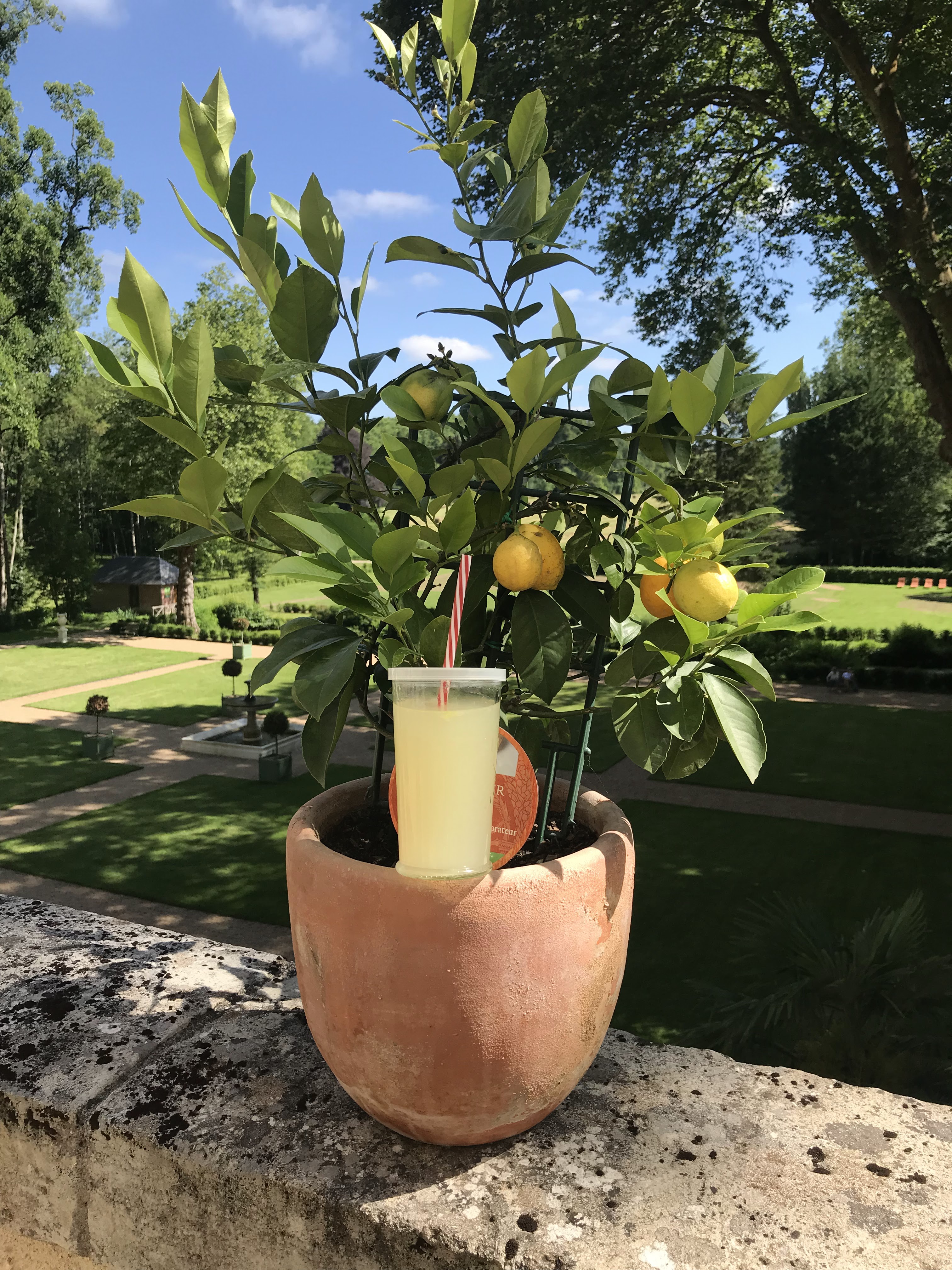 Photo n° 1 de l'avis de Charly.a fait le 20/06/2018 à 12:29