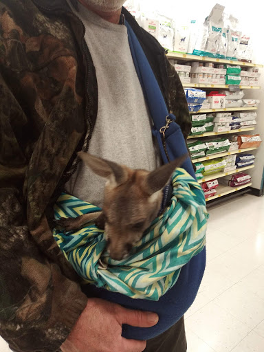 Pet Supply Store «PetSmart», reviews and photos, 5013 S Cleveland Ave, Fort Myers, FL 33907, USA