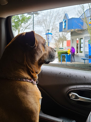 Coffee Shop «Dutch Bros Coffee», reviews and photos, 8940 SW Hall Blvd, Portland, OR 97223, USA