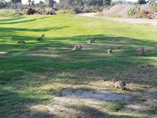 Golf Course «Navy Golf Course», reviews and photos, 5660 Orangewood Ave, Cypress, CA 90630, USA