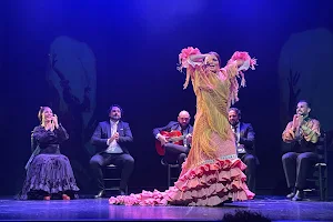 Teatro Flamenco Madrid image