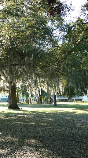 Golf Club «Mount Dora Golf Club», reviews and photos, 1100 S Highland St, Mt Dora, FL 32757, USA