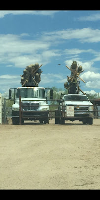 Preserving Tree and Cactus Service, LLC - Photo 3 - Car repair in Wittmann, AZ, Surprise