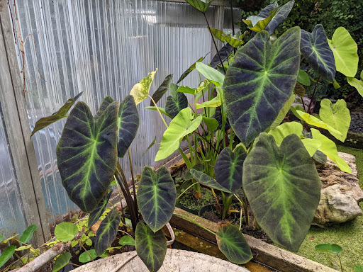 Pond Supply Store «Waterford Gardens», reviews and photos, 74 E Allendale Rd, Saddle River, NJ 07458, USA