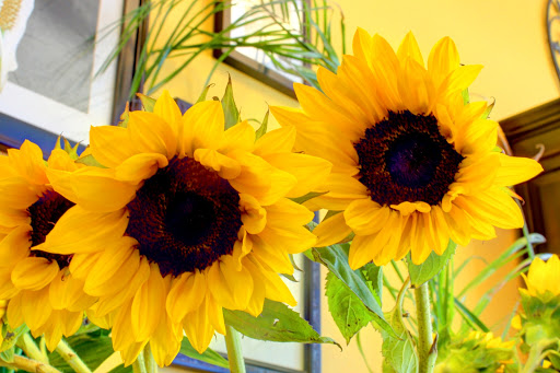 Florist «Red Mountain Florist, Inc.», reviews and photos, 6727 E McDowell Rd #105, Mesa, AZ 85215, USA