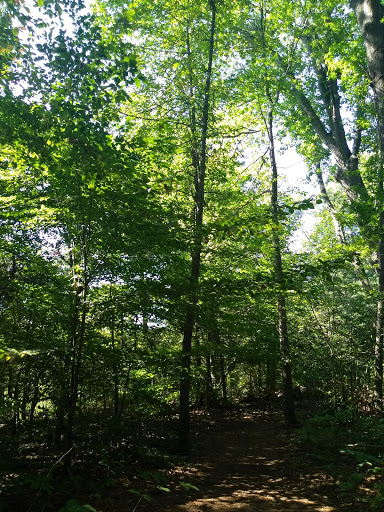 Tourist Attraction «Wetlands overlook park», reviews and photos, 4020 11th St, North Beach, MD 20714, USA