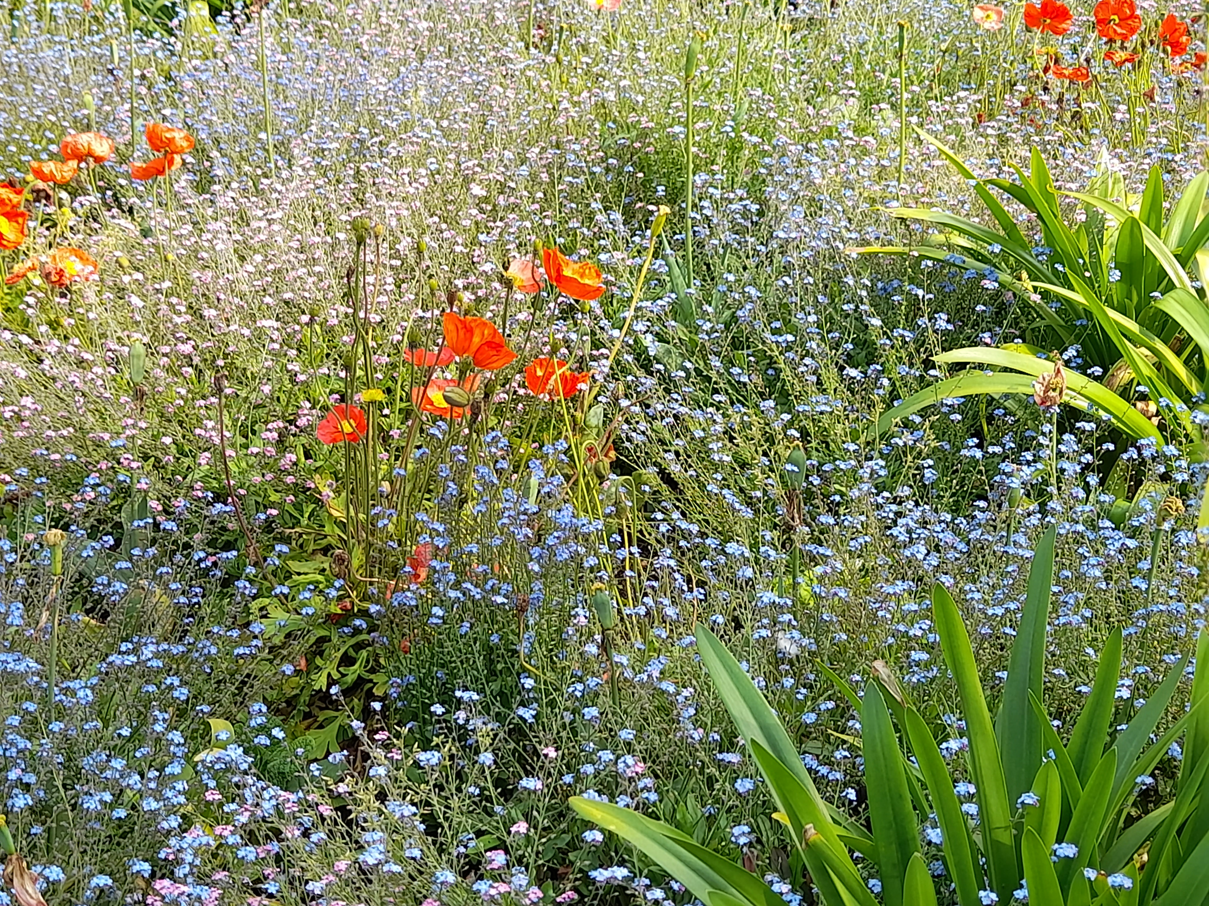 Photo n° 6 de l'avis de D. fait le 16/05/2022 à 17:01