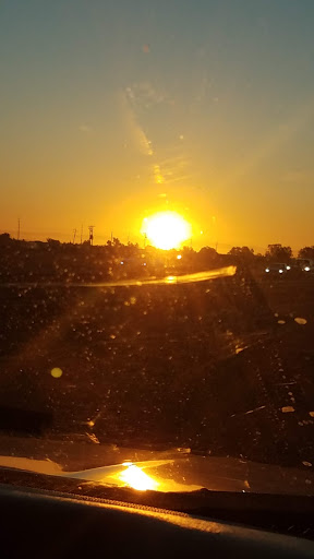 Produce Market «Yolo Fruit Stand», reviews and photos, 46710 Co Rd 32B, Davis, CA 95618, USA