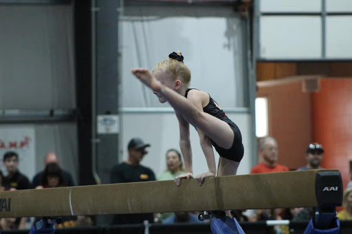 Gymnastics Center «Flames Gymnastics Academy», reviews and photos, 9850 W Peoria Ave, Peoria, AZ 85345, USA