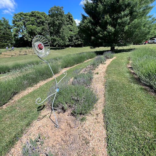Farm «Blooming Hill Lavender Farm», reviews and photos, 19929 Telegraph Springs Rd, Purcellville, VA 20132, USA