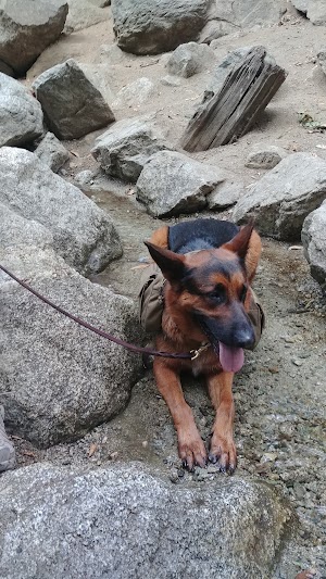 Monrovia Falls - photo 74