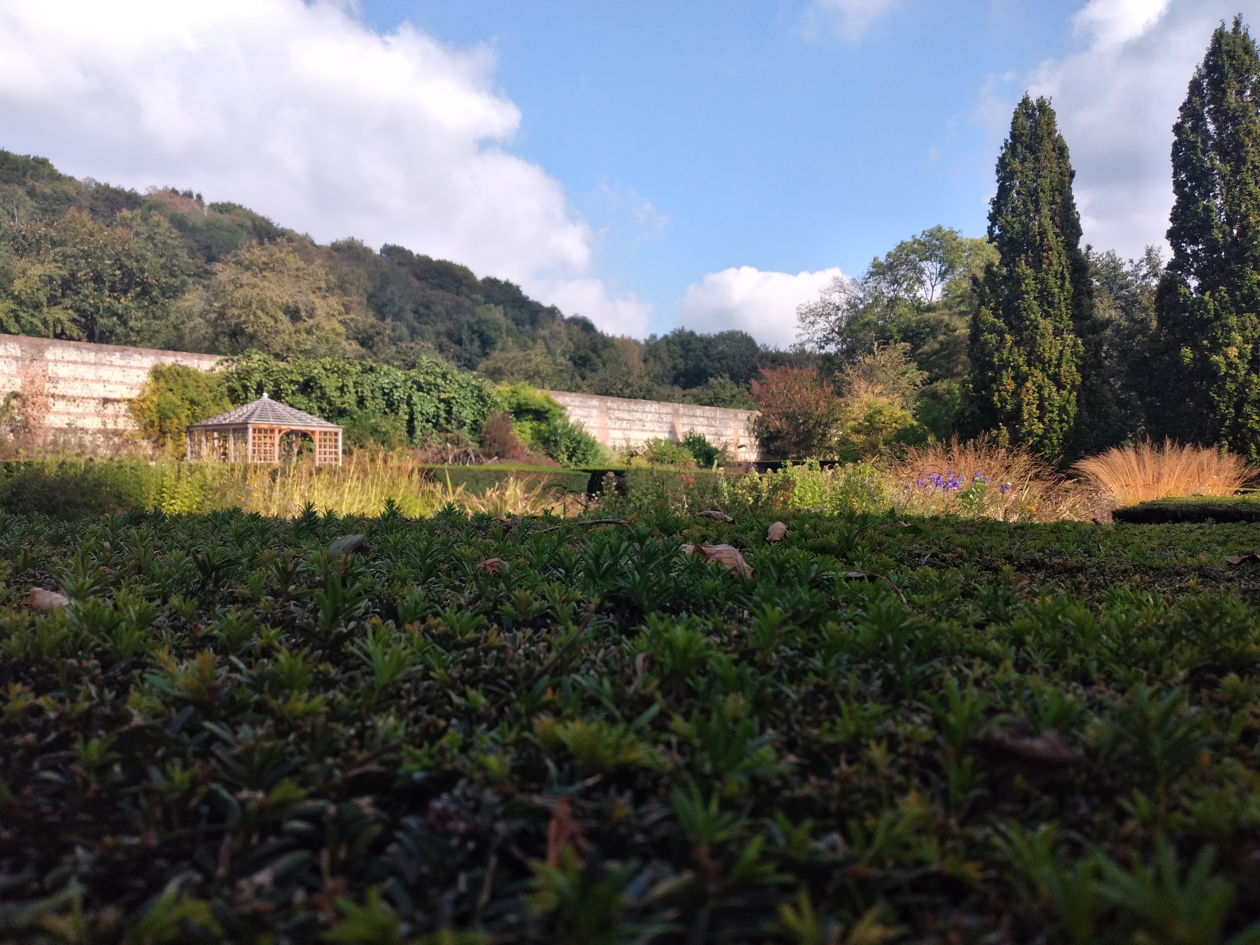 Photo n° 9 de l'avis de Hélani.e fait le 31/10/2021 à 04:25