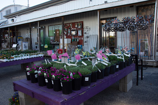 Scholze Ace Home Center, 133 County Rd A, Black River Falls, WI 54615, USA, 