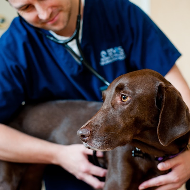 Bush Veterinary Neurology Service - Richmond