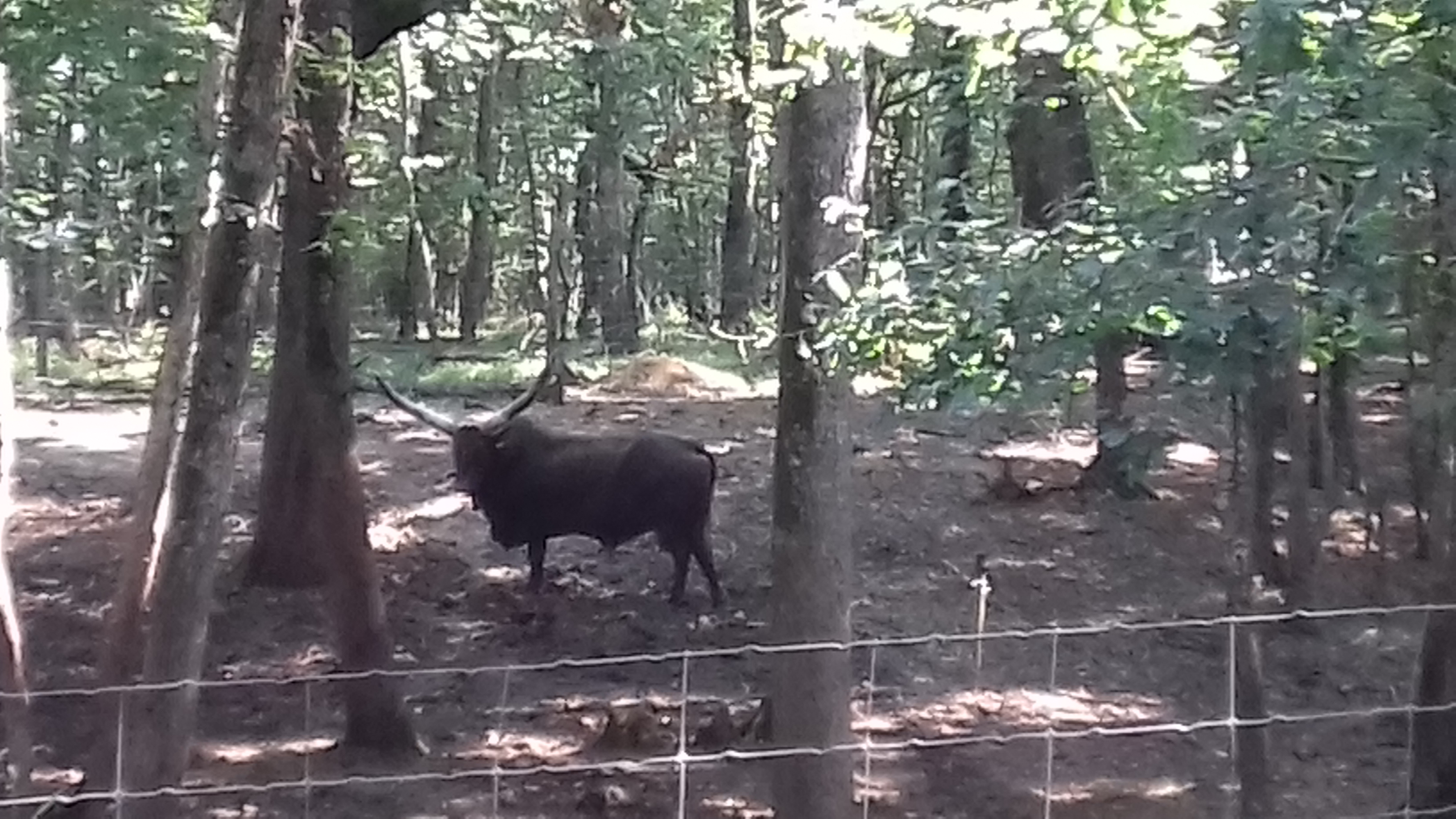 Photo n° 5 de l'avis de Laurent.o fait le 20/08/2018 à 10:25