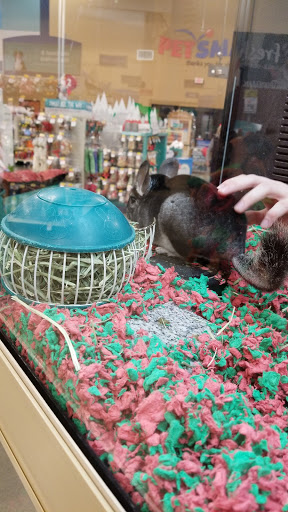 Pet Supply Store «PetSmart», reviews and photos, 9041 Snowden Square Dr, Columbia, MD 21045, USA