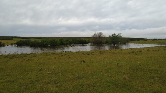 Estancia La Esperanza - Trinidad