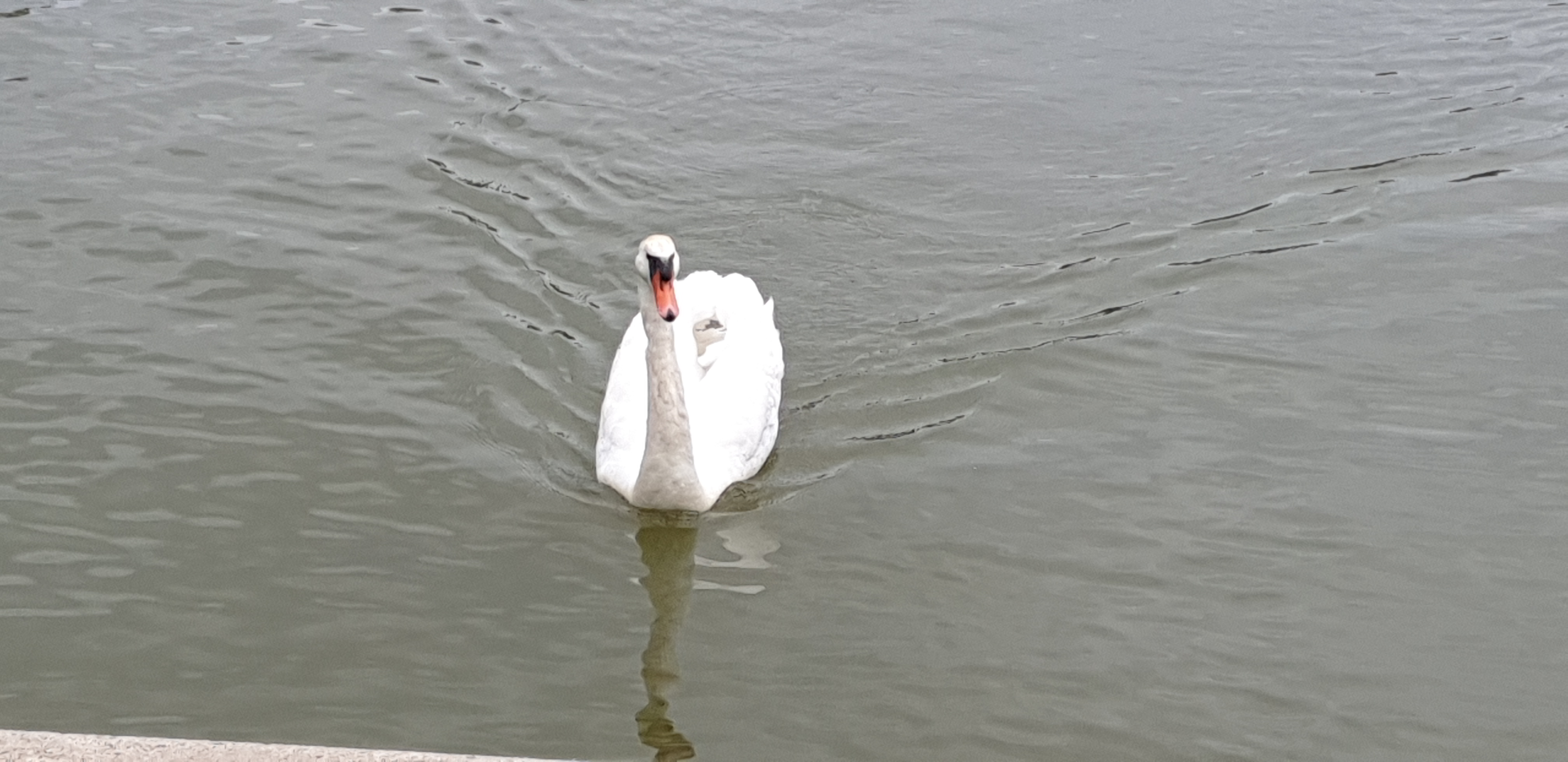 Photo n° 3 de l'avis de SEGARD.l fait le 05/07/2019 à 16:20