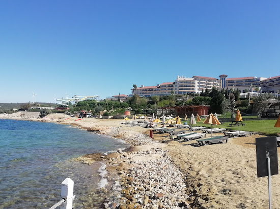 Mukka Beach II