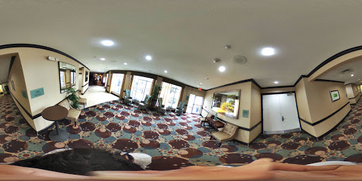 Hotel «Hilton Garden Inn Tyler», reviews and photos, 220 E Grande Blvd, Tyler, TX 75703, USA