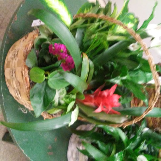 Florist «Rhodes Florist», reviews and photos, 7442 S Cottage Grove Ave, Chicago, IL 60619, USA