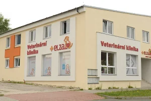 Veterinary Clinic Elza - DVM. Václav Trnka image