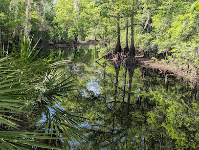 Green Swamp West Unit Wildlife Management Area - Zone B