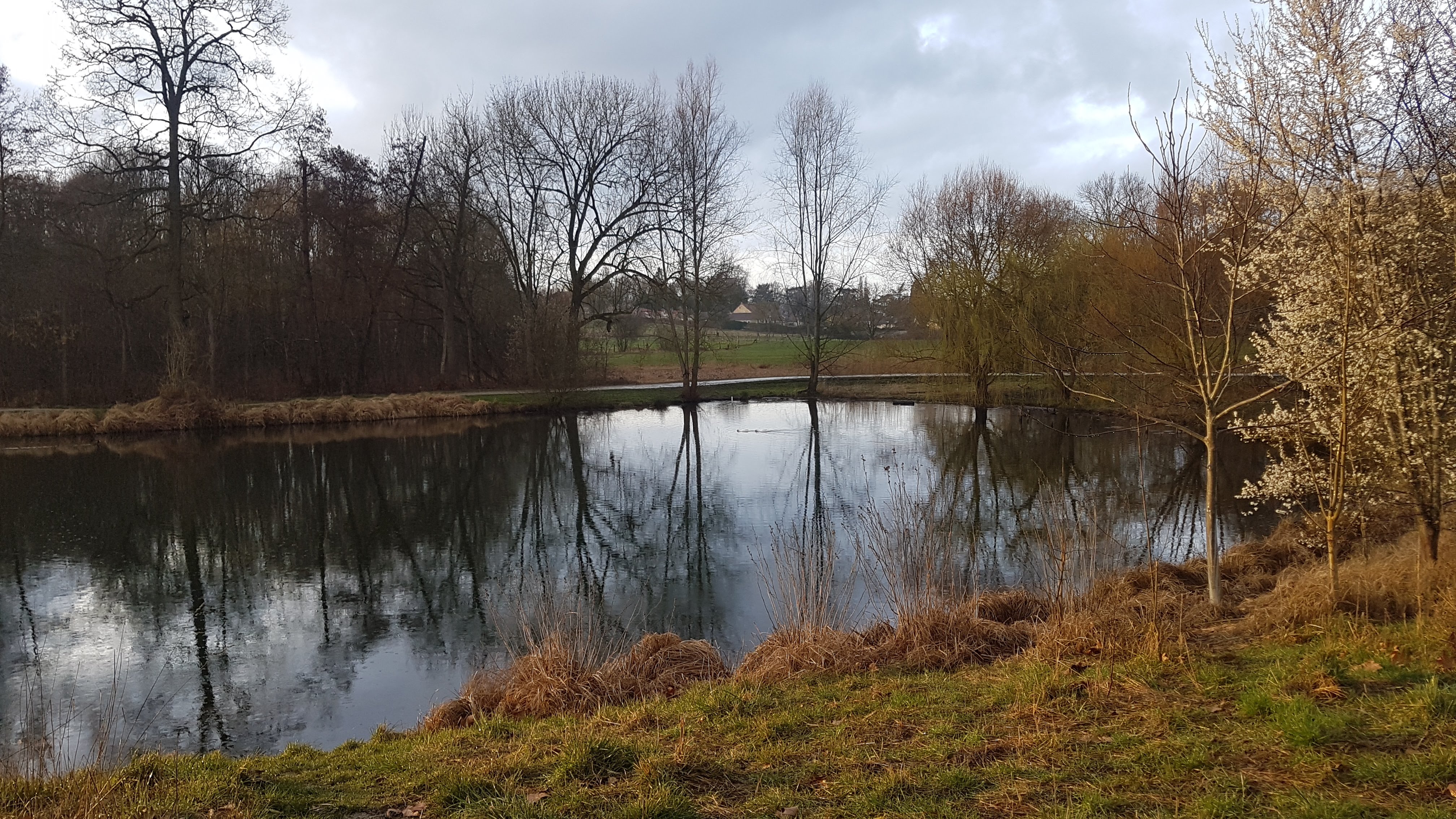 Photo n° 16 de l'avis de Jean-marie.o fait le 06/03/2019 à 12:51