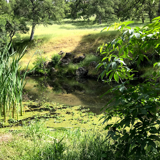 Park «Olympus Pointe Sculpture Park», reviews and photos, 350 N Sunrise Ave, Roseville, CA 95661, USA