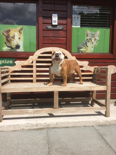 Nursery Farm Boarding Kennels