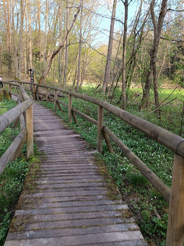 Porytowe Wzgórze - Muzeum