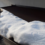 Photo n°16 de l'avis de Rosalba. fait le 11/12/2019 à 11:15 sur le  Hotel Panorama à Brenner