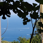 Photo n°3 de l'avis de luca.e fait le 18/06/2023 à 21:27 sur le  Agriturismo Fattoria Terranova à Sant'Agata sui Due Golfi