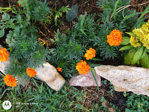 Thrift Store «Second Blessing Thrift Store Inc.», reviews and photos, 2323 Central Ave, Wichita, KS 67214, USA