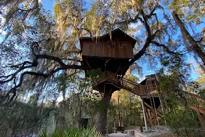 Mother Tree Treehouse image