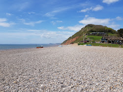 Foto de Praia de Branscombe com linha costeira longa e reta