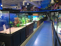 Aquarium Adventure Columbus - Photo 4 - Car repair in Hilliard, OH, Columbus