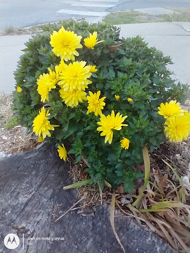 Thrift Store «Second Blessing Thrift Store Inc.», reviews and photos, 2323 Central Ave, Wichita, KS 67214, USA