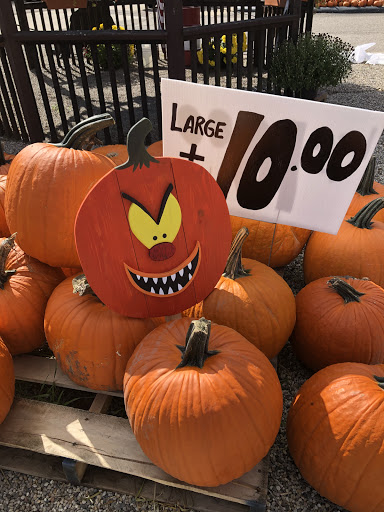 Florist «Dynamic Flowers of Royal Oak», reviews and photos, 3221 N Main St, Royal Oak, MI 48073, USA