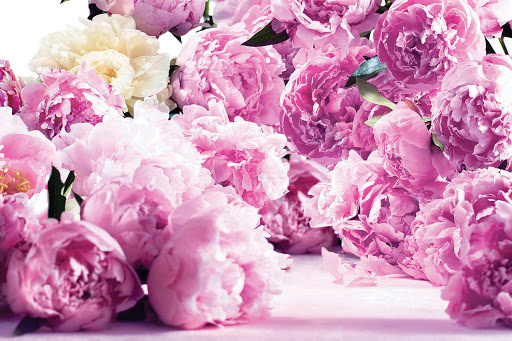 Florist «Peonia LLC», reviews and photos, 1550 Lemoine Ave, Fort Lee, NJ 07024, USA