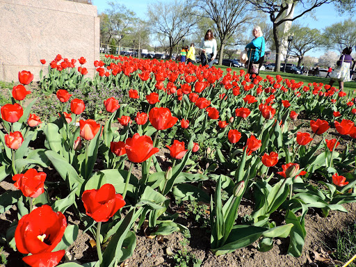 Monument «Washington Monument», reviews and photos, 2 15th St NW, Washington, DC 20024, USA