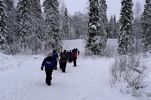 Huskypoint Käpälämäki image