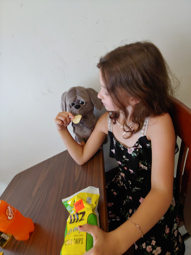 Shopping Mall «Shop City Shopping Center», reviews and photos, 105 Shop City Plaza, Syracuse, NY 13206, USA