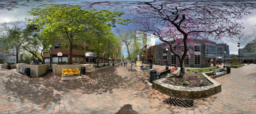 Public University «The University of Iowa», reviews and photos