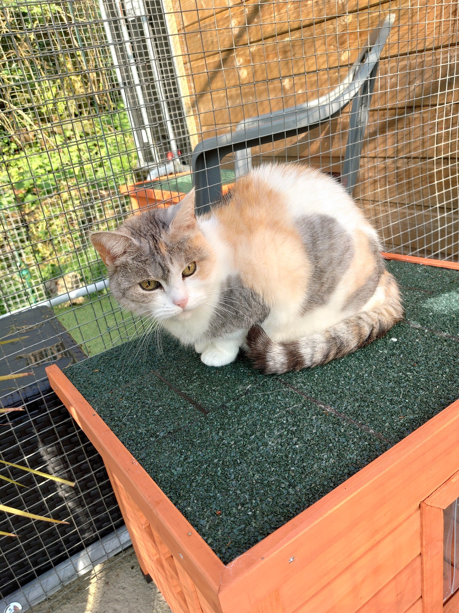 Photo n° 5 de l'avis de Nicolas.a fait le 01/06/2023 à 12:54