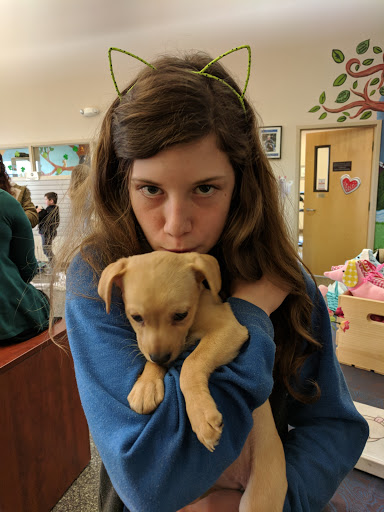 Animal Shelter «BrightSide Animal Center (formerly Humane Society of Redmond)», reviews and photos