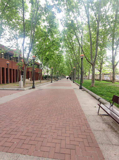 Cruz Roja en Logroño en Logroño